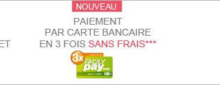 PAIEMENT EN 3 FOIS SANS FRAIS